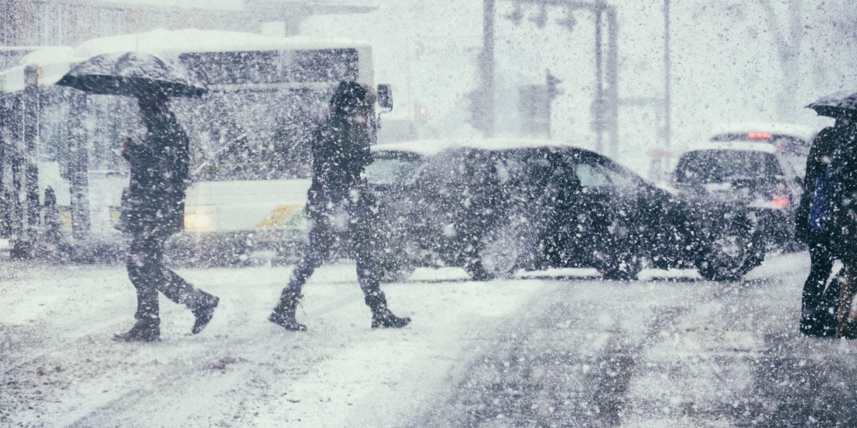 Busy and snowy city street with pedestrians walking by and vehicles behind